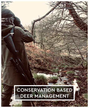 Venison Boxes - Dartmoor Venison Nationwide Delivery