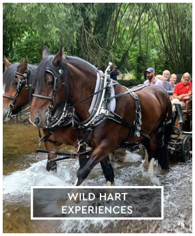 Dartmoor Venison Nationwide Delivery