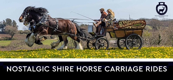 Carriage rides - Dartmoor Venison Nationwide Delivery